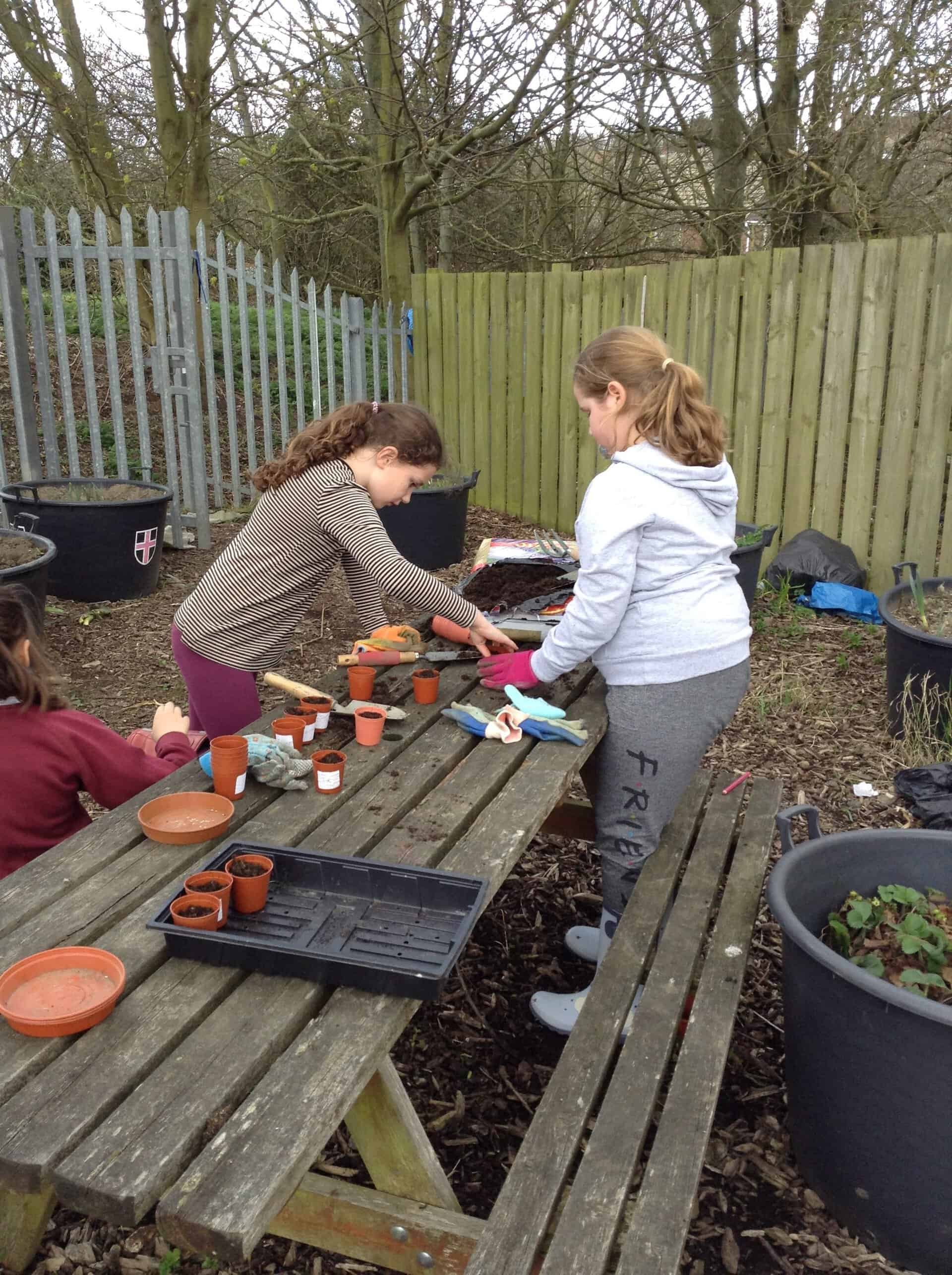 Gardening Club St. Cuthbert's Primary School